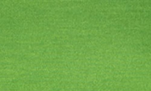 Akris Cashmere & Silk Fine Rib Sweater In Grass Green