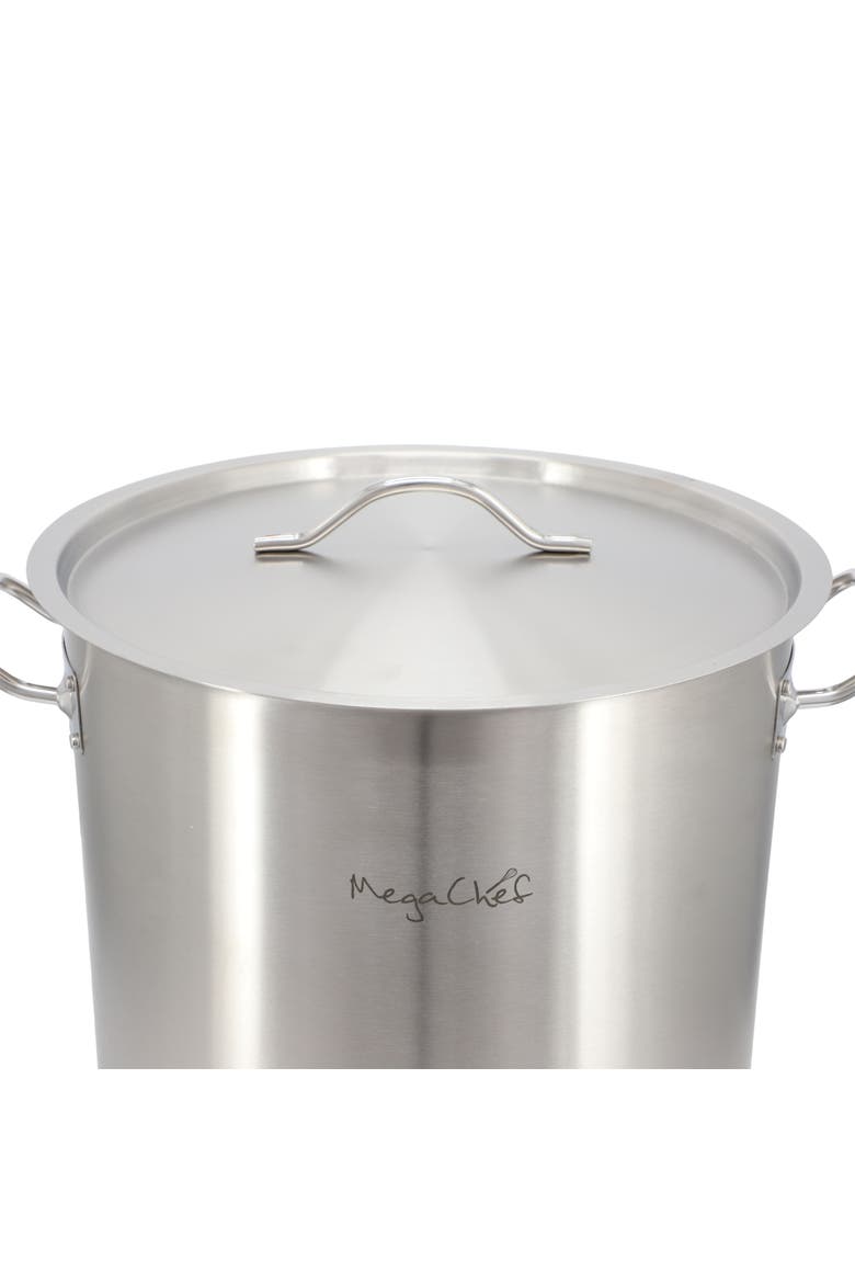 Professional Kitchen 38.5 Quart Round Stainless Steel Stock Pot with Lid, Alternate, color, Silver