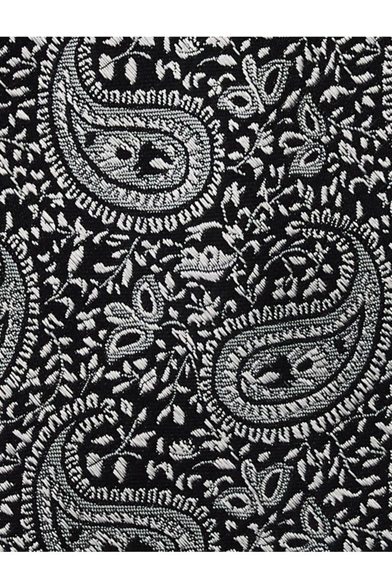 Big & Tall Luma Paisley Tie, Alternate, color, BLACK