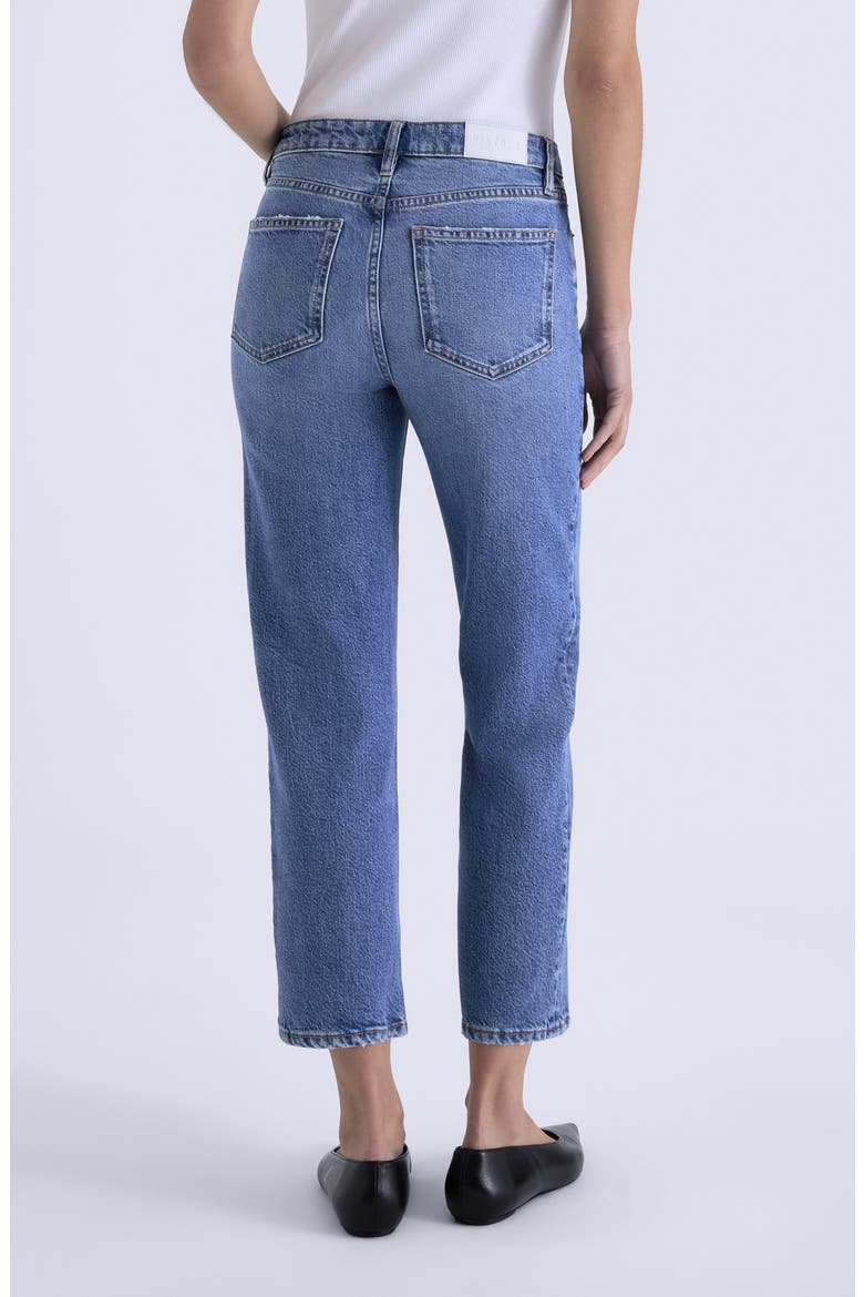 Aleks Mid Rise Crop Straight Leg Jeans, Alternate, color, RIVER