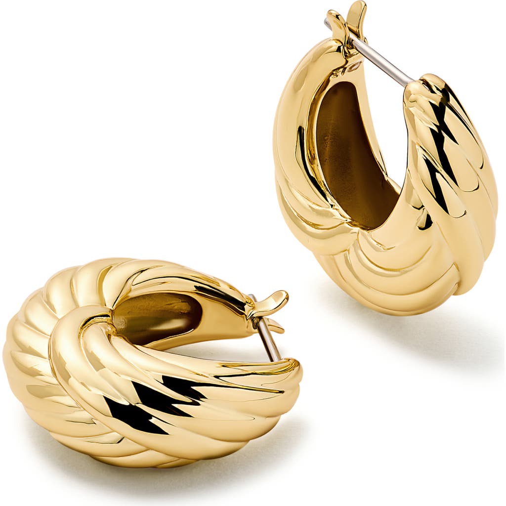 Ana Luisa Gold Hoop Earrings
