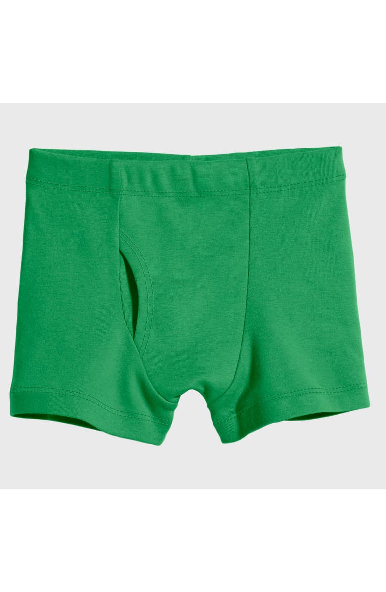 City Threads USA-Made Super-Soft Organic 100% Cotton Boxer Briefs, Main, color, Elf Green