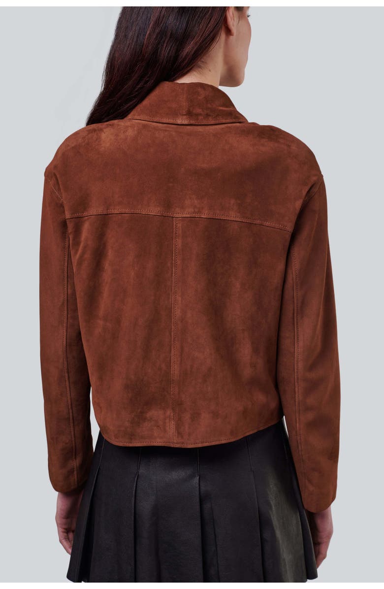 Furniq UK Ella Suede Jacket, Alternate, color, Chestnut