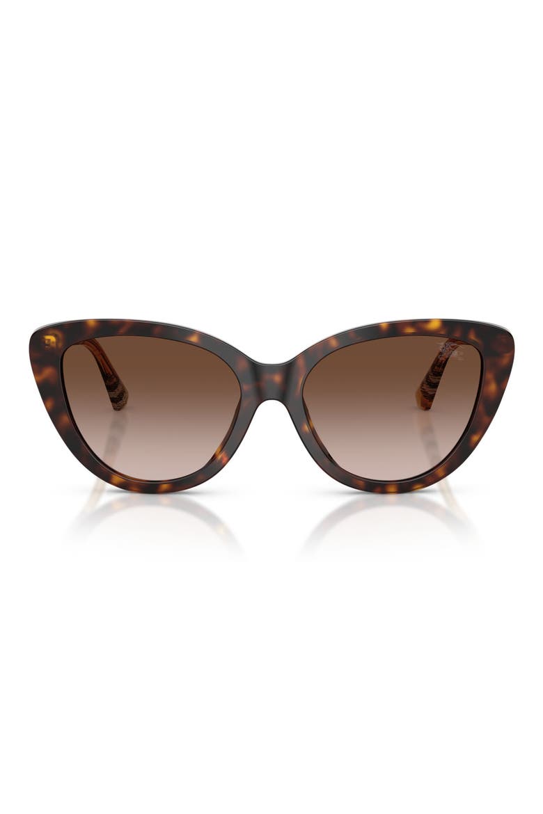 55mm Cat Eye Sunglasses, Main, color, DARK HAVANA / BROWN GRADIENT