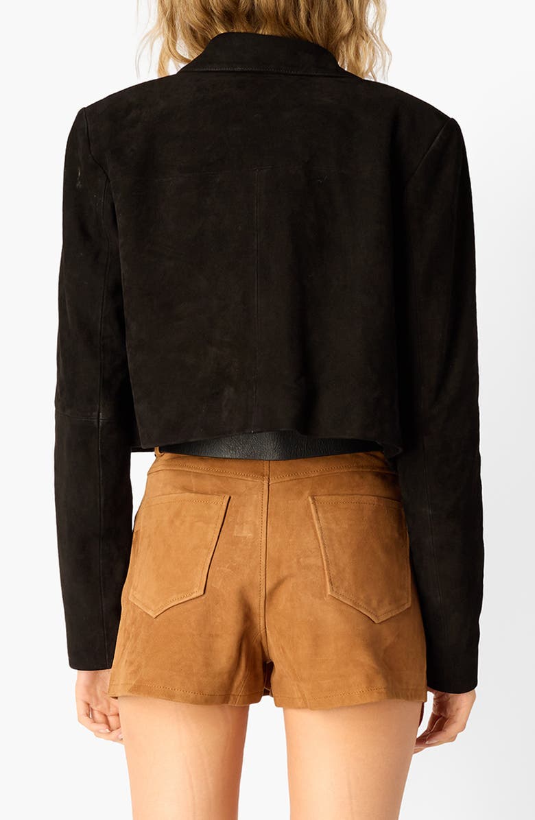 CAMI NYC Sullivan Suede Jacket, Alternate, color, Black