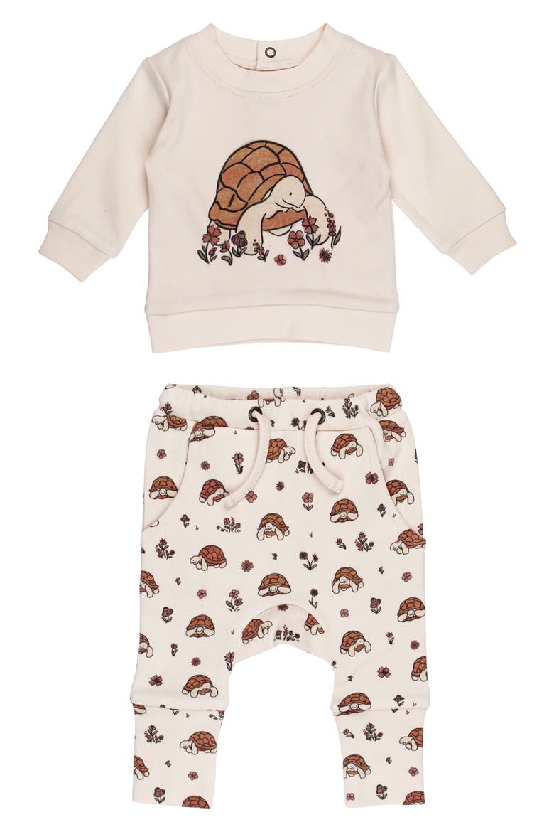 Organic Cotton Fleece Graphic Sweatshirt & Joggers Set, Main, color, TINY TORTOISE