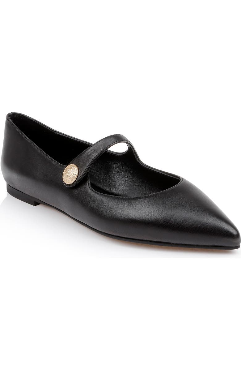 L'AGENCE Gersende Mary Jane Pointed Toe Flat, Main, color,