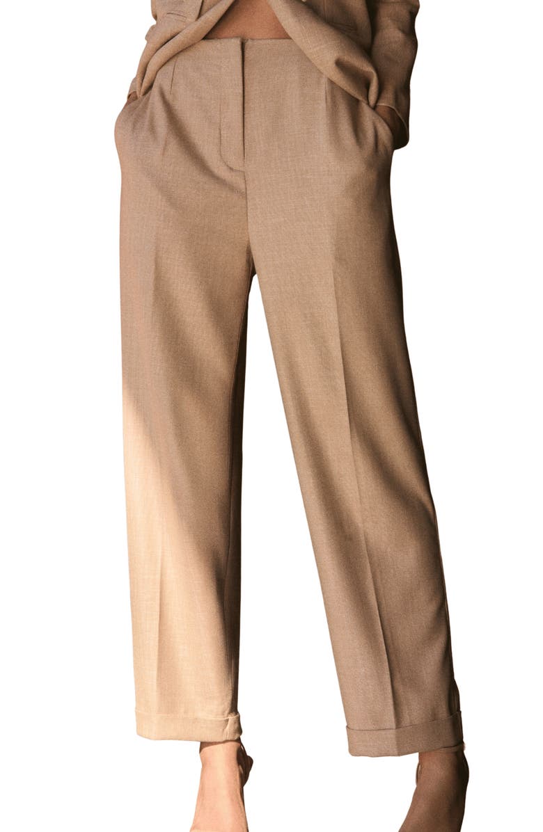 The IQ Collection Max Pants, Main, color, Brown