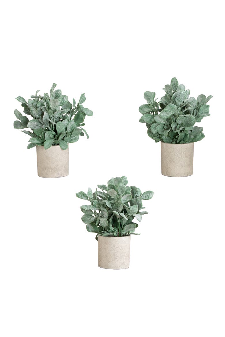 8-in Artificial Lambs Ear in Decorative Planter - Set of 3, Main, color, Green