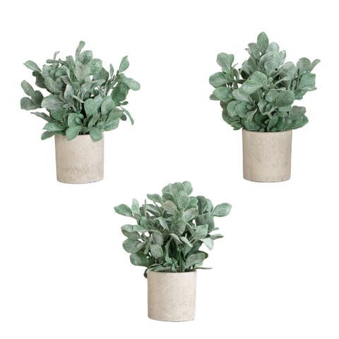 8-in Artificial Lambs Ear in Decorative Planter - Set of 3