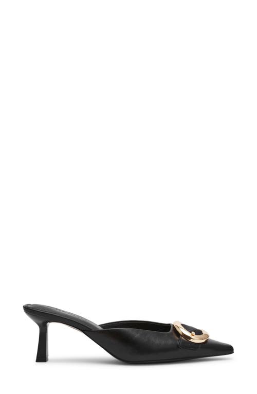 Steve Madden Lisbeth Pointed Toe Mule