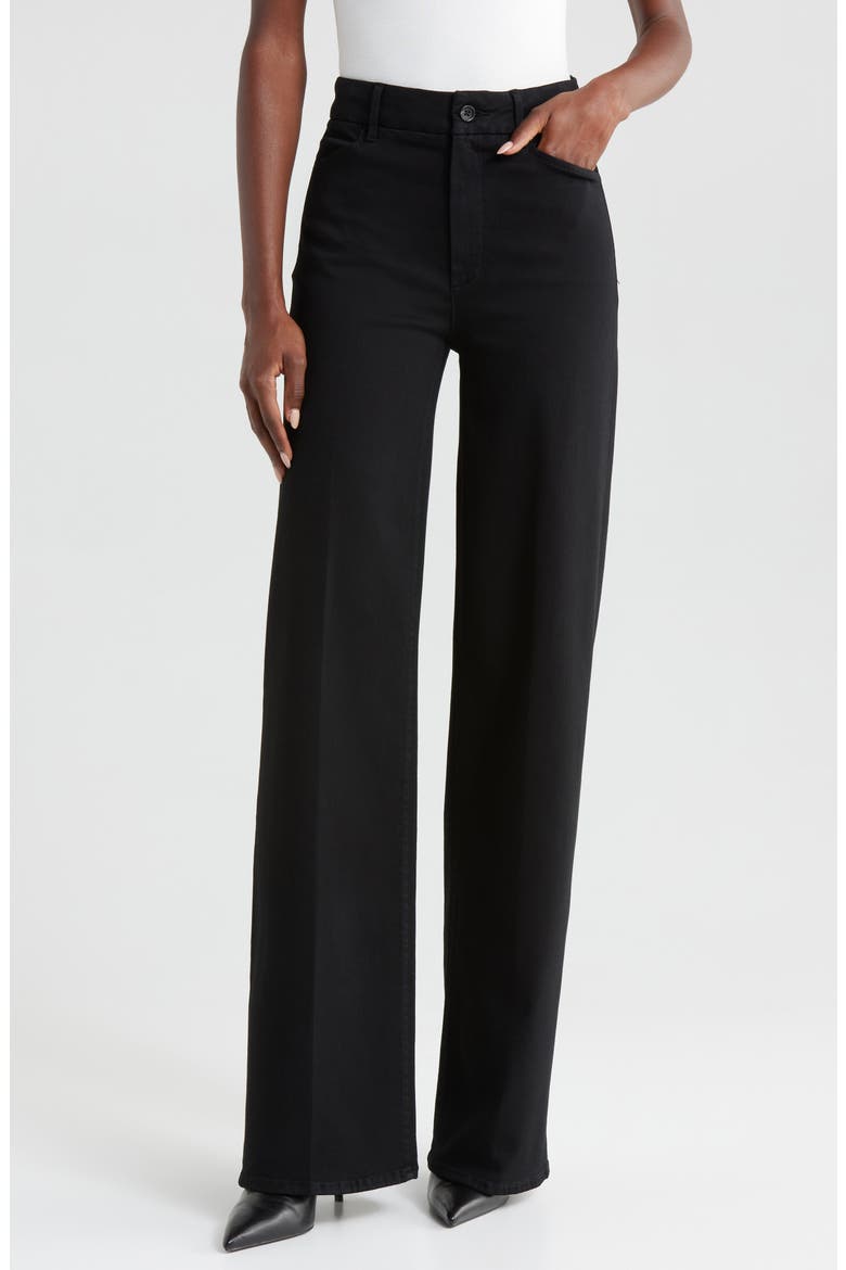 Sasha High Waist Wide Leg Jeans, Main, color, BLACK SHADOW