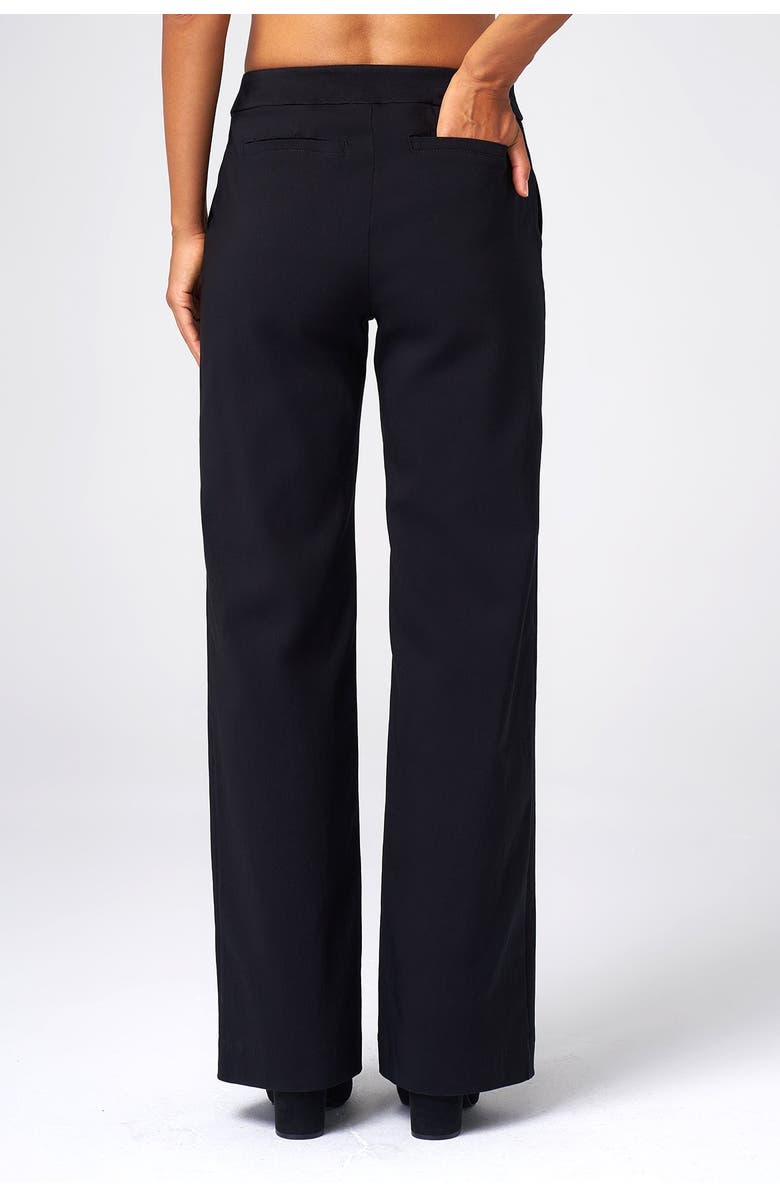 Franne Golde Wilshire Stretch Straight-Leg Pant, Alternate, color, Black