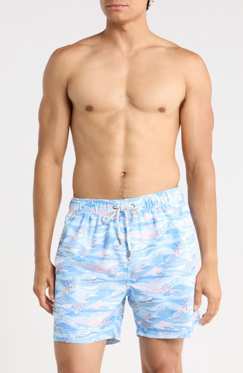 Scenic Island Volley Swim Trunks