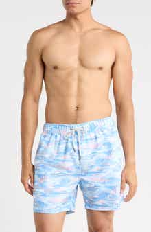 Scenic Island Volley Swim Trunks