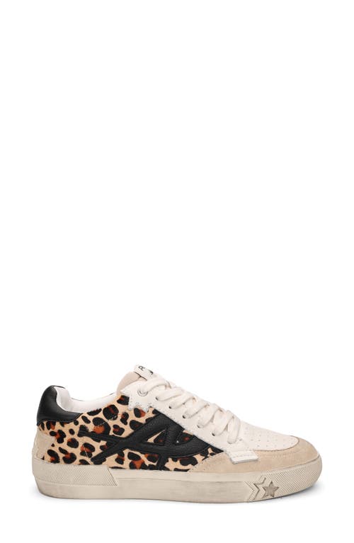 Ash Moonlight Sneaker