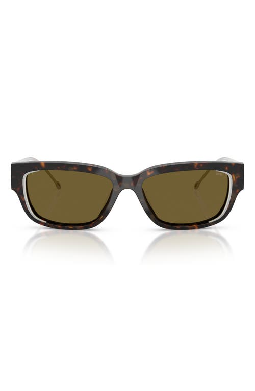 Diesel ® Geck-d 56mm Rectangular Sunglasses In Shiny Dark Havana/brown