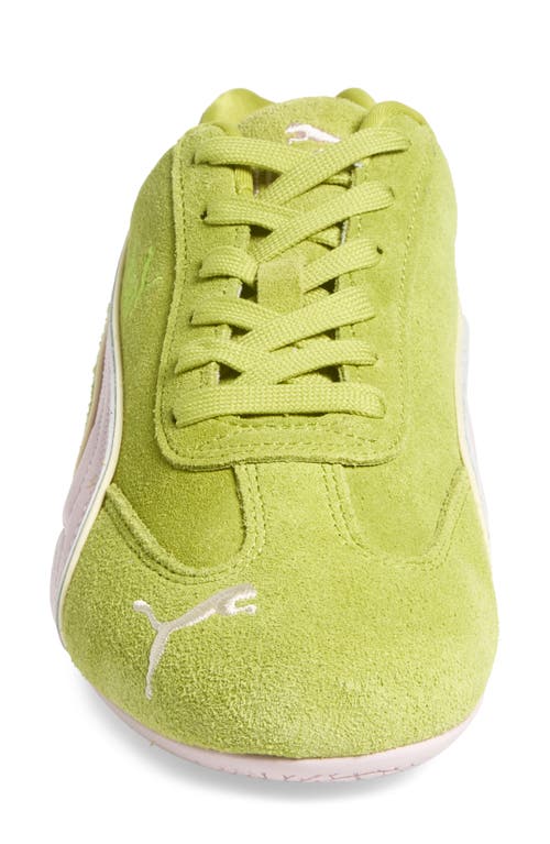 Puma Speedcat Piping Sneaker In Sea Kelp-rose Mauve