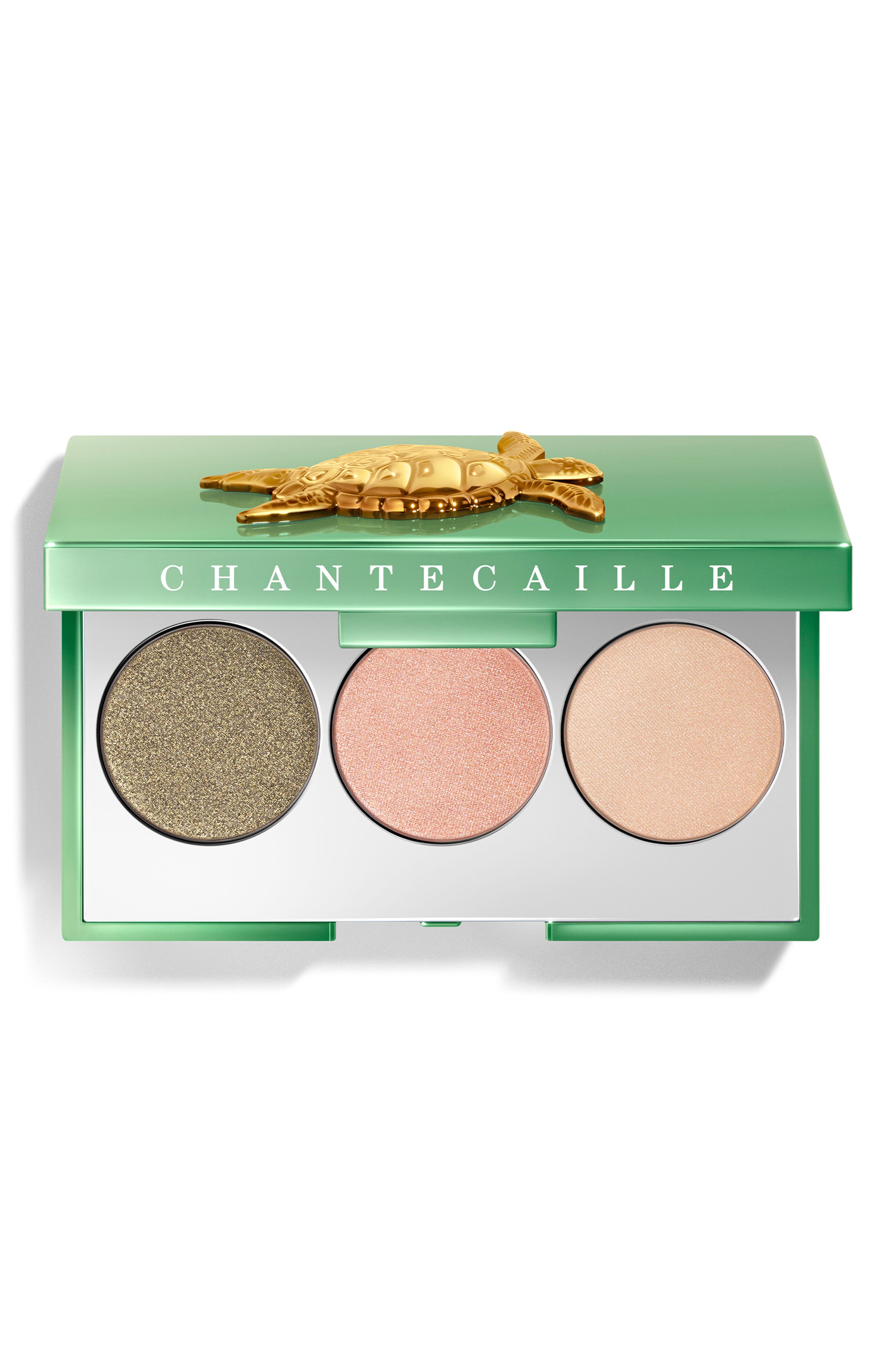 Turtle Makeup Sea Turtle Eyeshadow Trio (Limited Edition) (Women) | Nordstrom