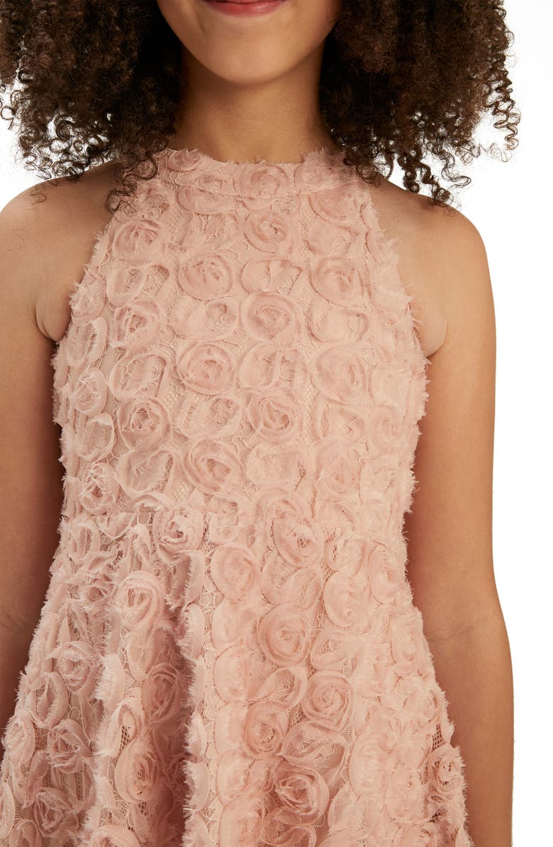 Bardot Junior Kids' Lizelle Rosette Embroidered Lace Dress, Alternate, color, 