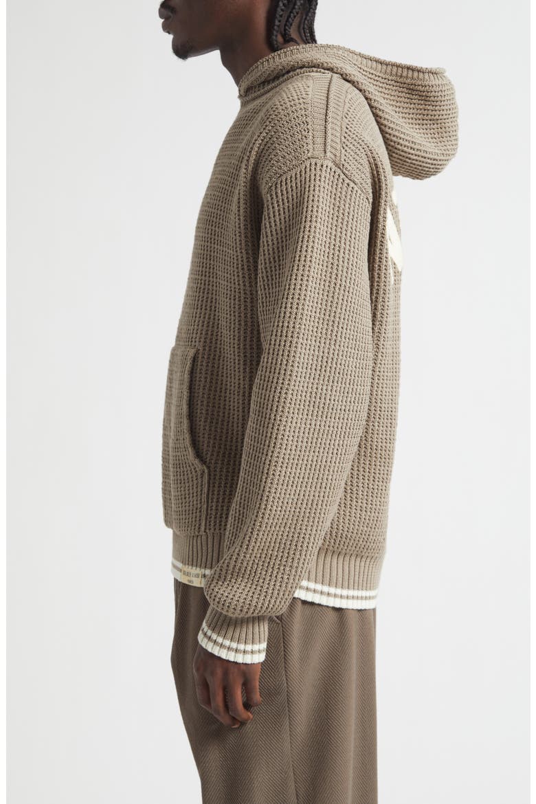 Journey Patrick Cotton Sweater Hoodie, Alternate, color, BISTRE