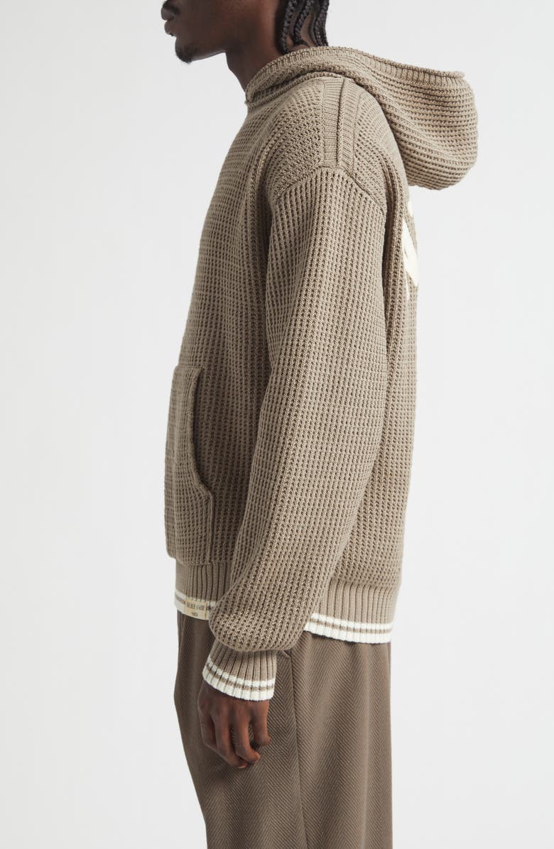 Golden Goose Journey Patrick Cotton Sweater Hoodie, Alternate, color, Bistre