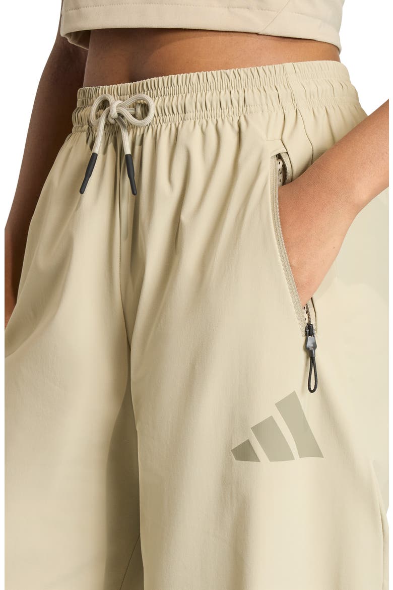 Z.N.E. Woven Pants, Alternate, color, WONDER CARGO/