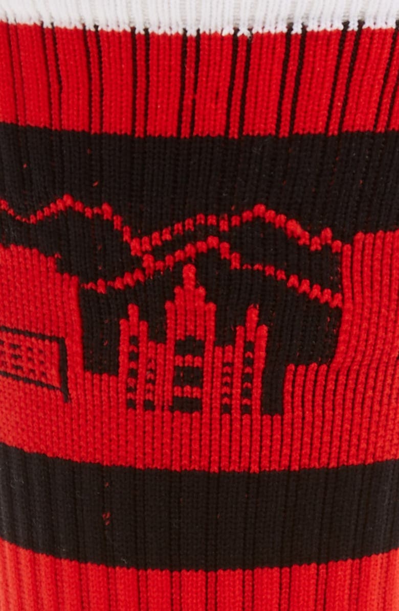 STRIDELINE 'Salt Lake' Socks, Alternate, color, 