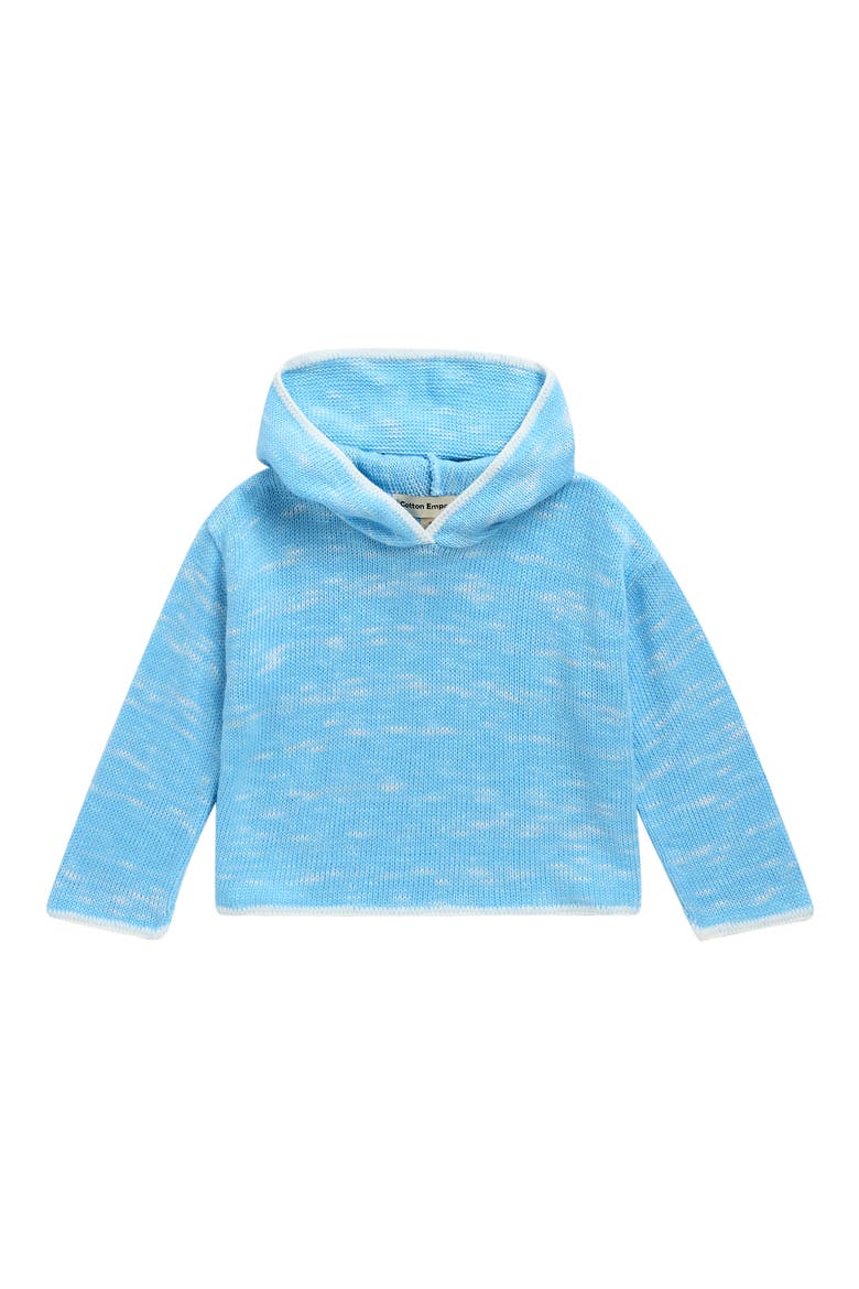 Kids' Hoodie Sweater, Main, color, BABY BLUE