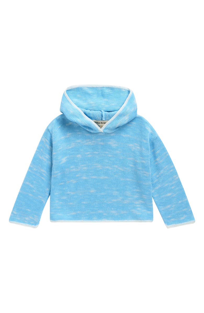 Cotton Emporium Kids' Hoodie Sweater, Main, color, Baby Blue