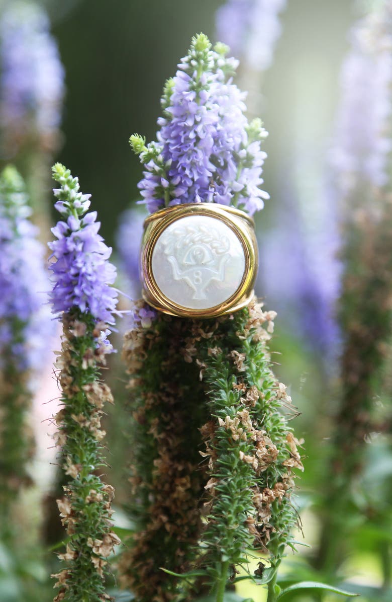 ASHA Zodiac Mother-of-Pearl Ring, Alternate, color,