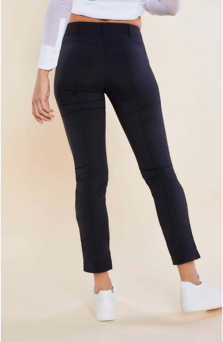 Anatomie The Peggy Zippered Pant, Alternate, color, Black