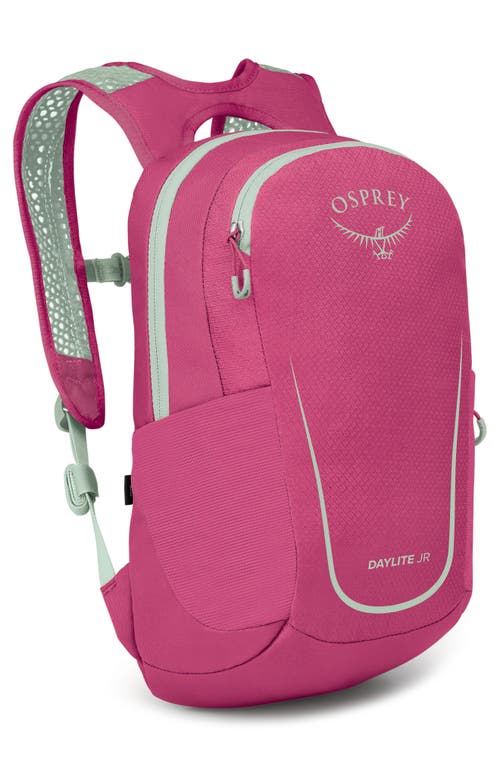 Osprey Kids' Daylite™ Jr. Water Repellent Backpack