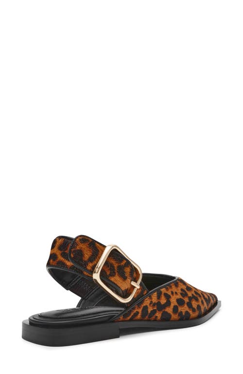 Steve Madden Shay Genuine Calf Hair Pointed Toe Slingback Flat In Leopard