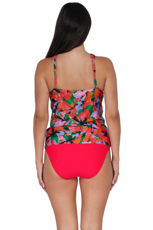 Sunsets Escape Emerson Tankini In Hummingbird Cove