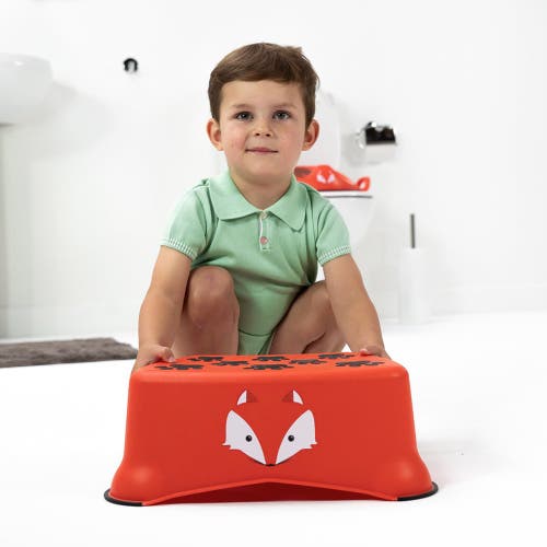 My Carry Potty My Little Step Stool