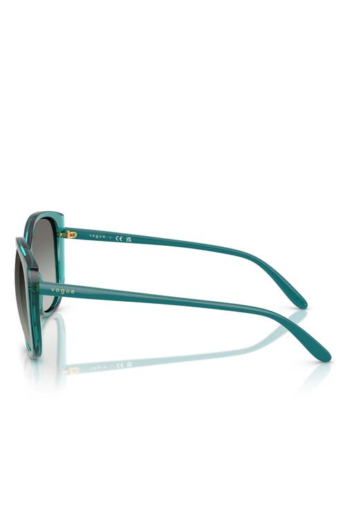 Vogue 55mm Polarized Gradient Butterfly Sunglasses