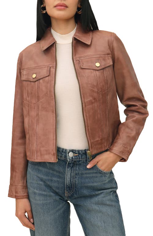 Bagatelle Leather Trucker Jacket in Brown 