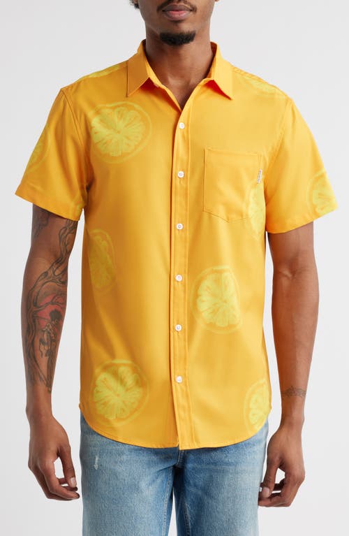 MAVRANS Citrus Print Short Sleeve Performance Button-Up Shirt in Orange  product