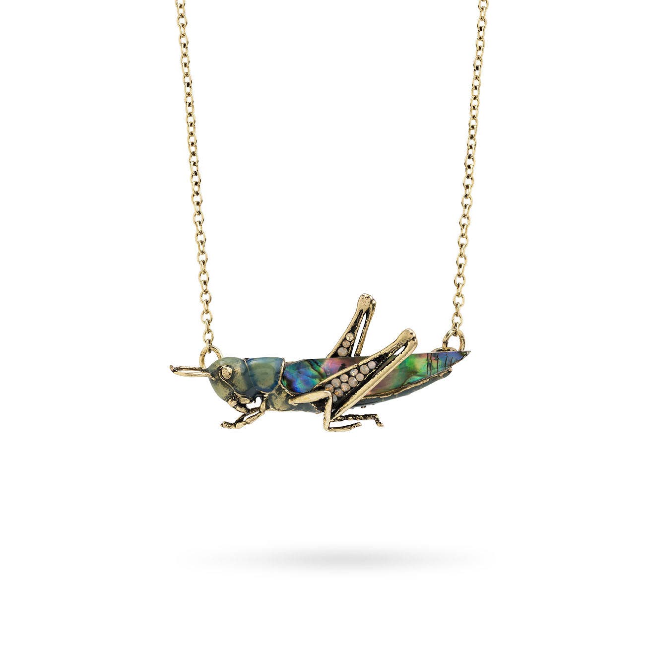 selected Grass Hopper