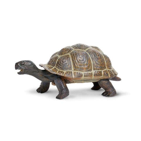 Tortoise Baby Toy