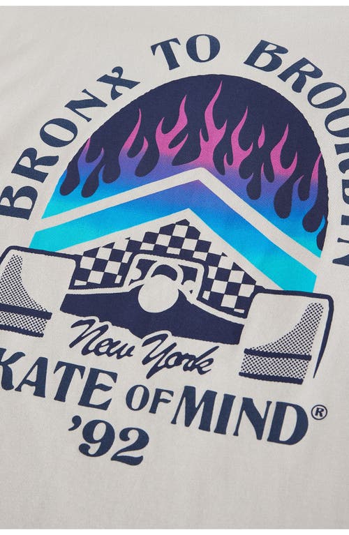 Next Kids' Assorted 3-pack Skate Graphic T-shirts In Grey