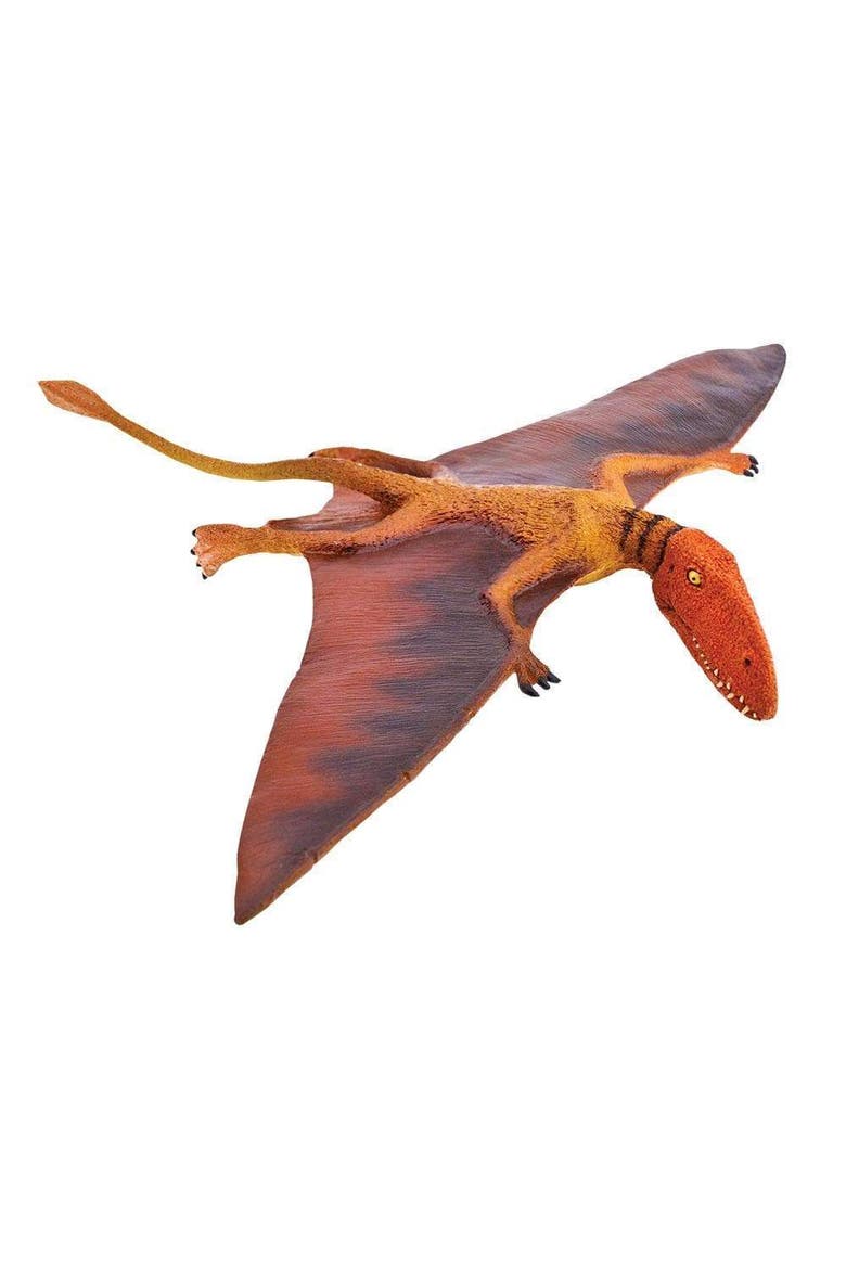 Dimorphodon Toy, Main, color, No Color