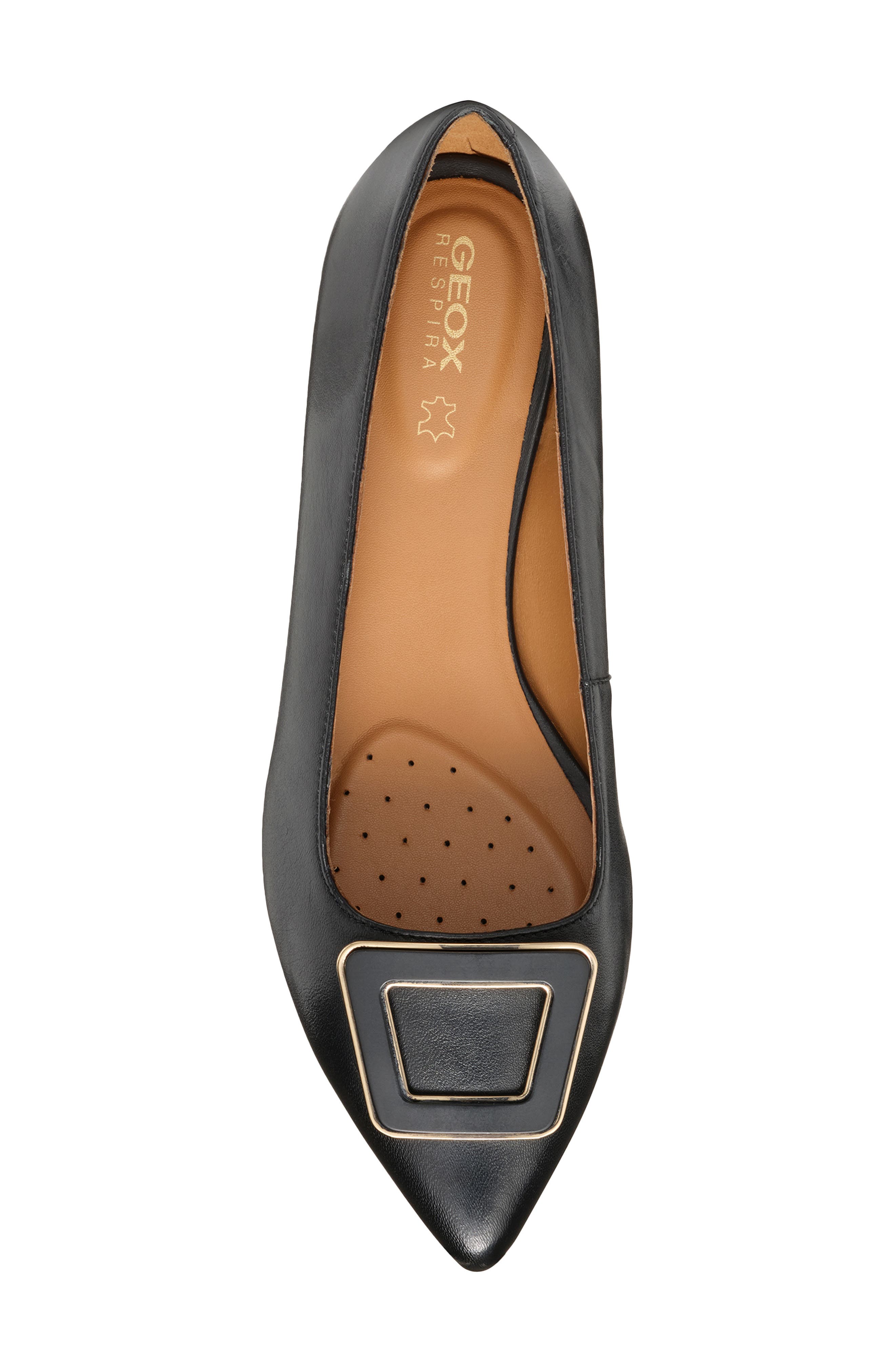 Geox Charyssa Water Resistant Flat, Alternate, color, 