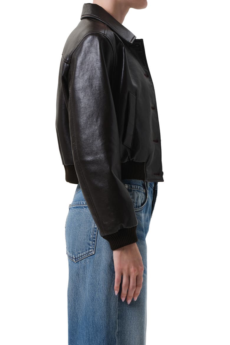 Lola Bomber Jacket, Alternate, color, BROWN