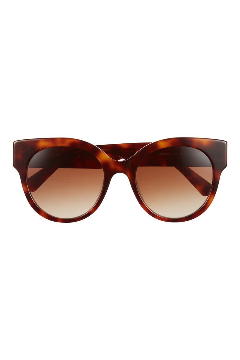 53mm Gradient Round Sunglasses, Main, color, HAVANA