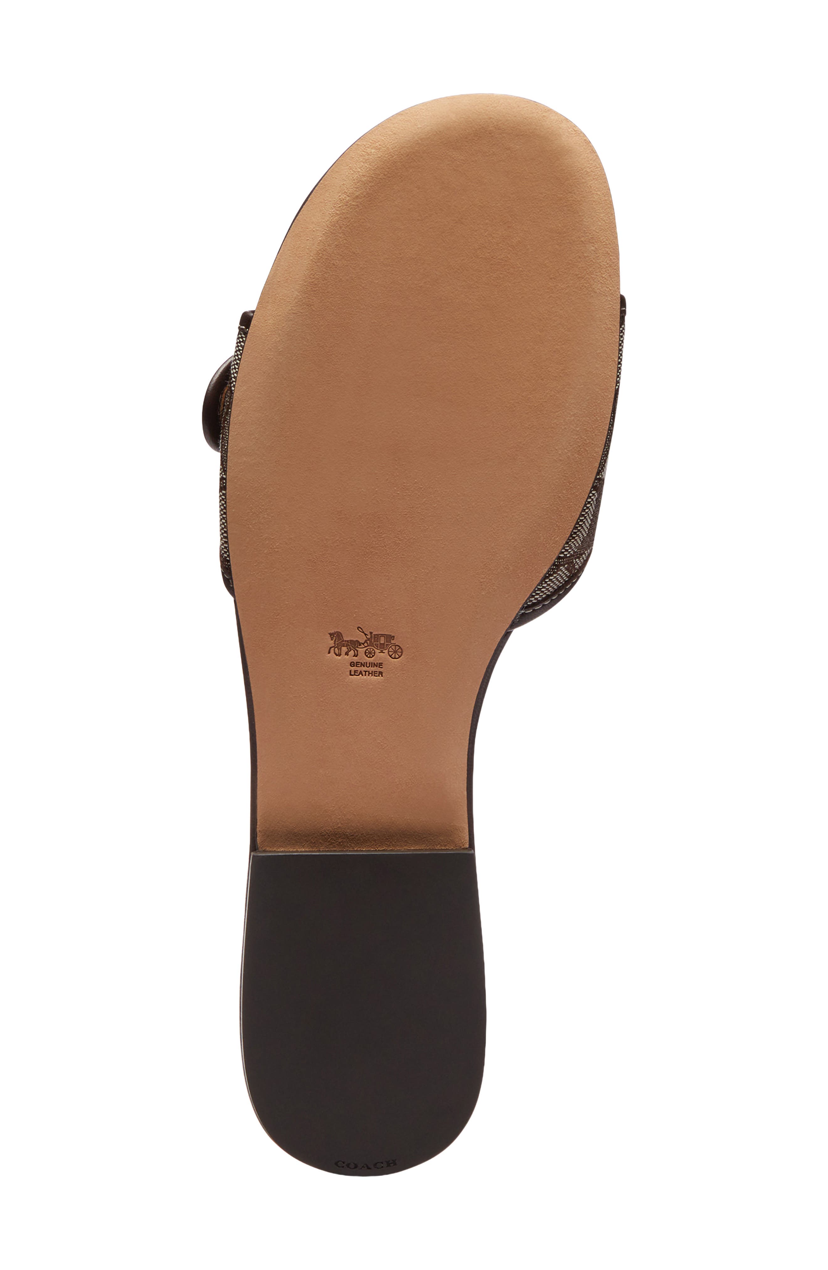 COACH Margot Slide Sandal, Alternate, color, Oak/ Maple