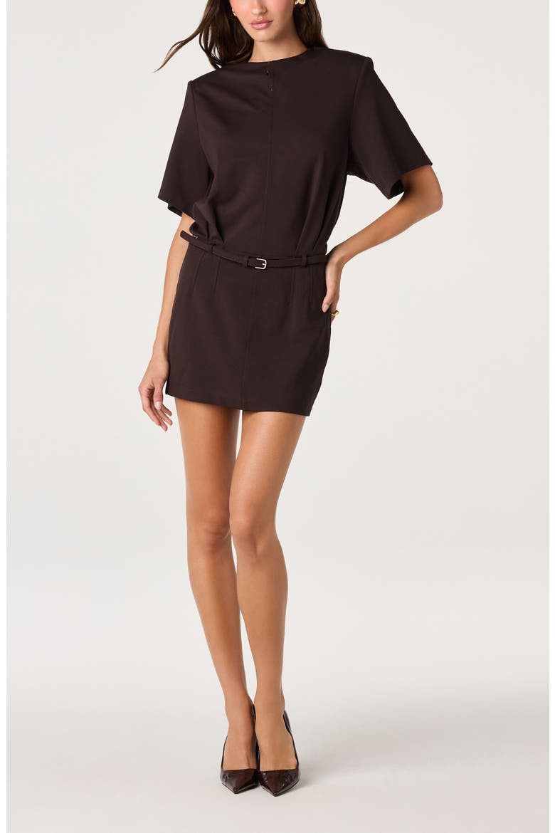 Carlreca Belted Minidress, Alternate, color, DARK BROWN