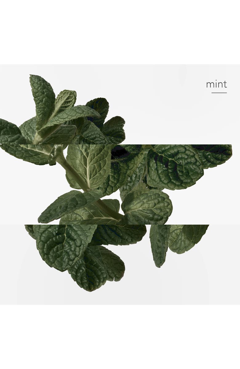 Hermès Eau d'orange verte - Eau de cologne, Alternate, color, 