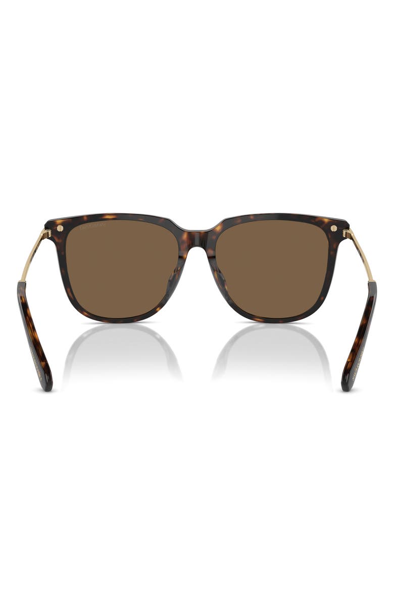 Swarovski 55mm Square Sunglasses, Alternate, color, Dark Havana / Brown